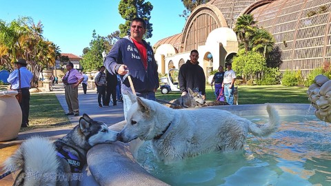 不再白去旅行！